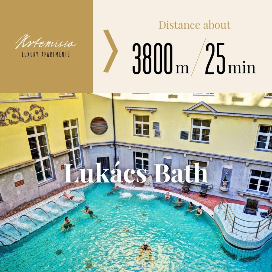 Artemisia Luxury Penthouse Apartment Budapest