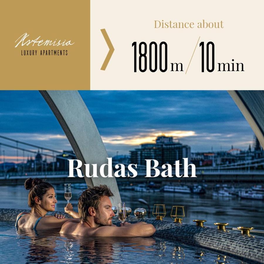 Apartment Artemisia Luxury Penthouse Budapest